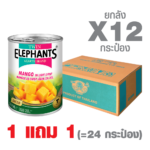 [1 GET 1] Canned Diced Mango in Light Syrup (565 g. x 12 cans)