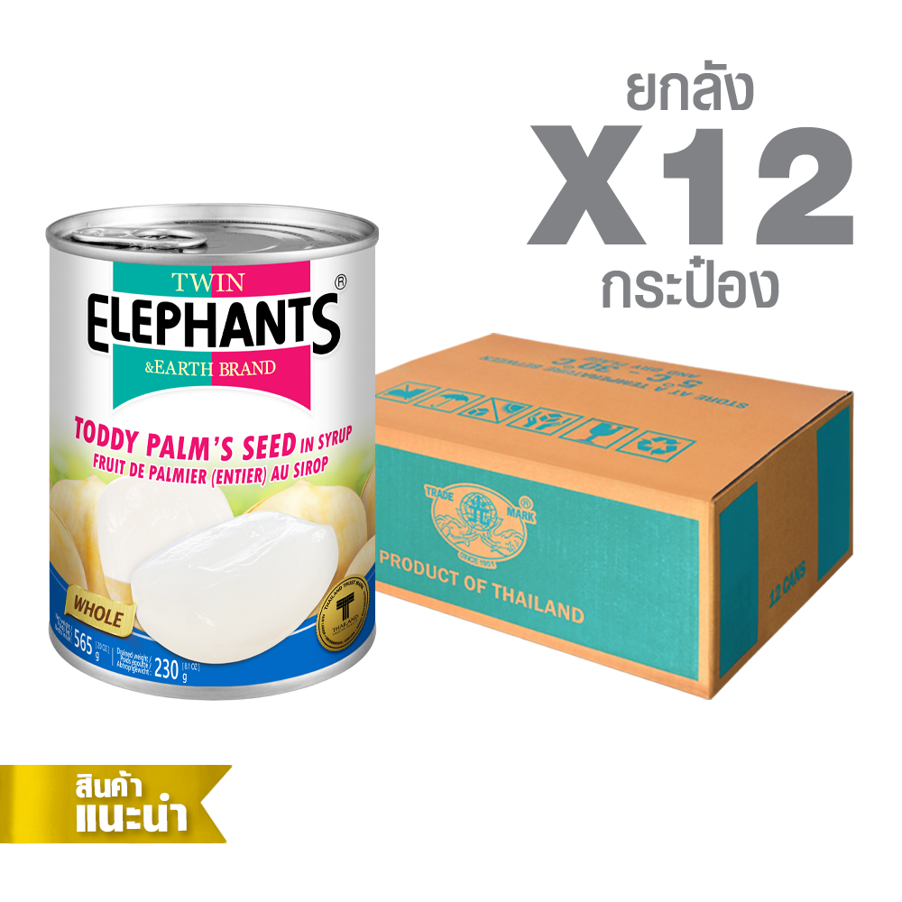 11-Twin Elephants_STD_Toddy Palm’s Seed (Whole)_20 oz_packshot_2025-0 Canned Toddy Palm’s Seed in Syrup (Whole) (565 g. x 12 cans) - Image 1