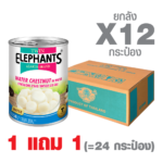[1 GET 1] Canned Water Chestnut in Water (540 g. x 12 cans)