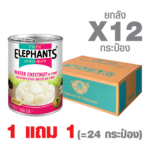 [1 GET 1] Canned Water Chestnut in Syrup (540 g. x 12 cans)