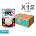 Canned Mangosteen in Light Syrup (565 g. x 12 cans)