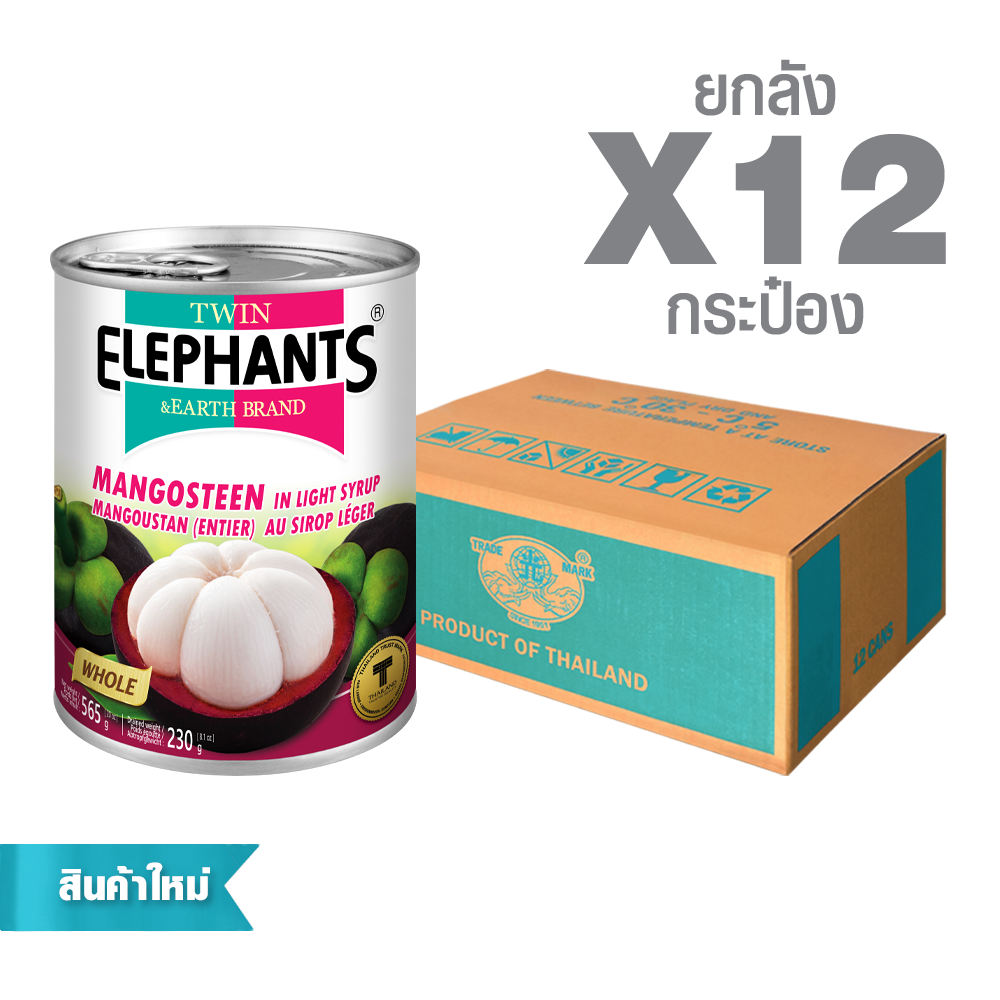 24-Twin Elephants_STD_Mangosteen_20 oz_packshot_2025-0 Canned Mangosteen in Light Syrup (565 g. x 12 cans) - Image 1