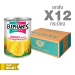 Canned Jackfruit in Syrup (565 g. x 12 cans)