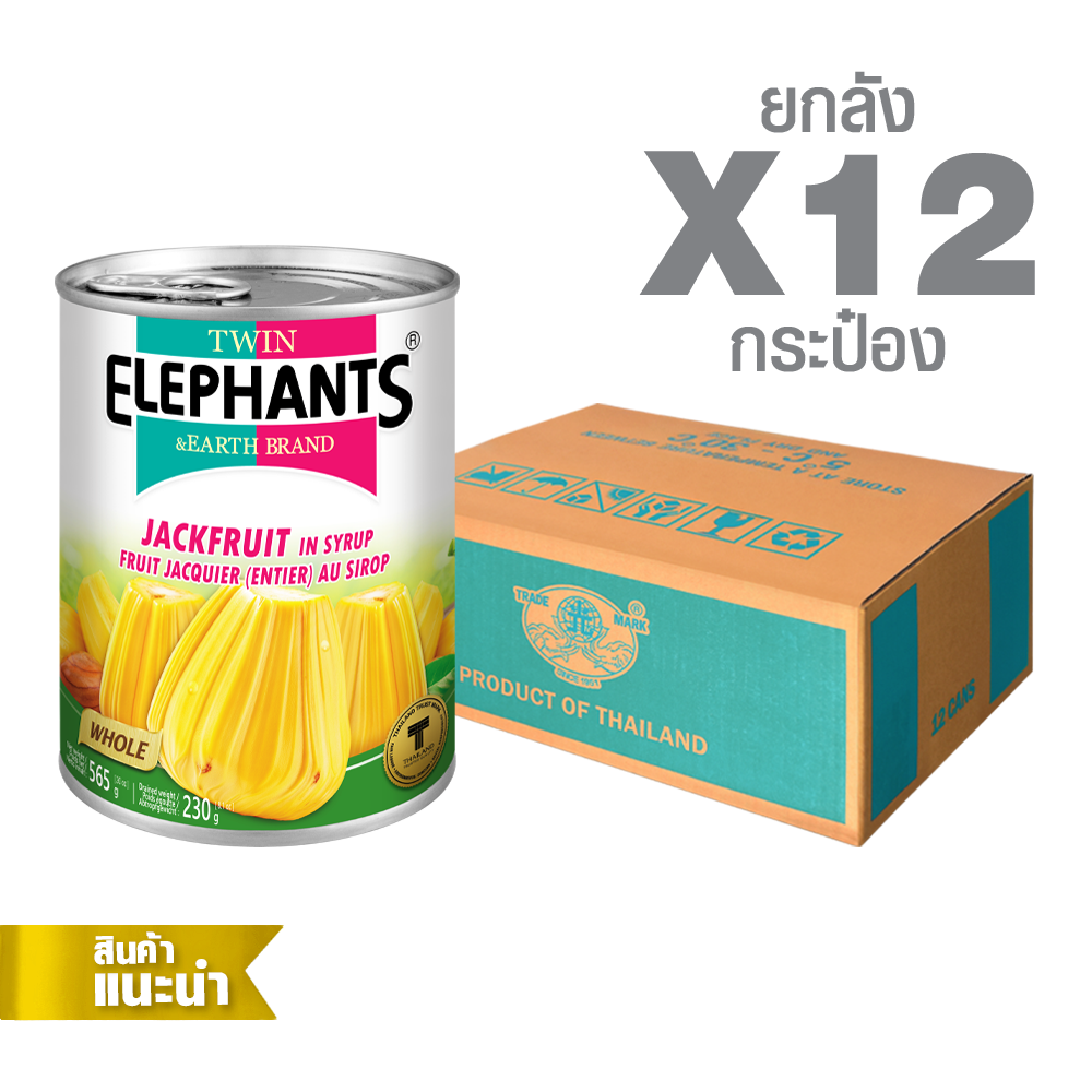 25-Twin Elephants_STD_Jackfruit_20 oz_packshot_2025-0 Canned Jackfruit in Syrup (565 g. x 12 cans) - Image 1