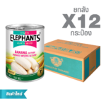 Canned Banana in Syrup (565 g. x 12 cans)