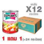 [1 GET 1] Canned Tropical Fruits Cocktail in Light Syrup (565 g. x 12 cans)