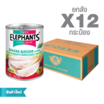 Canned Banana Blossom in Brine (Slices) (540 g. x 12 cans)