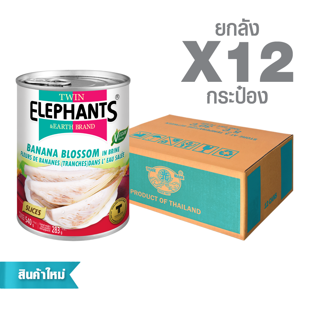 40-Twin Elephants_STD_Banana Blossom_20 oz_packshot_2025-0 Canned Banana Blossom in Brine (Slices) (540 g. x 12 cans) - Image 1