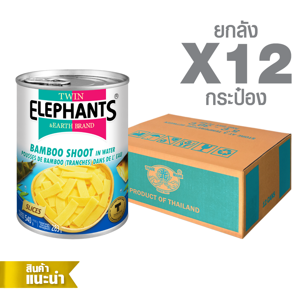 42-Twin Elephants_STD_Bamboo Shoot (Slices)_20 oz_packshot_2025-0 Canned Bamboo Shoot in Water (Slices) (540 g. x 12 cans) - Image 1