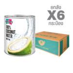 Coconut Water 100% (2.9 L. x 6 cans)