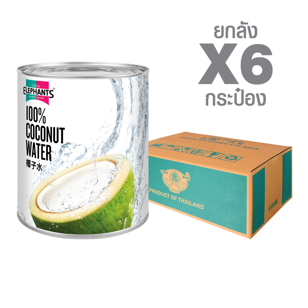 น้ำมะพร้าวแท้ 100% ตราช้างคู่ ตราช้างคู่ A10 Coconut Water 100% (2.9 L. x 6 cans) - Image 1