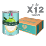 Canned Coconut Milk with Pulp for Smoothie (590 g. x 12 cans)
