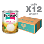 Canned Longan in Syrup (565 g. x 12 cans)