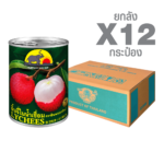 Canned Lychee in Syrup Elephant & Sun Brand (565 g. x 12 cans)