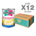 Canned Toddy Palm’s Seed & Jackfruit in Syrup (Slices) (565 g. x 12 cans)