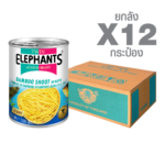 Canned Bamboo Shoot in Water (Strips) (540 g. x 12 cans)