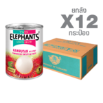 Canned Rambutan in Syrup (565 g. x 12 cans)