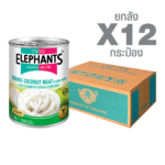 Canned Young Coconut Meat in Light Syrup (Strips) (565 g. x 12 cans)