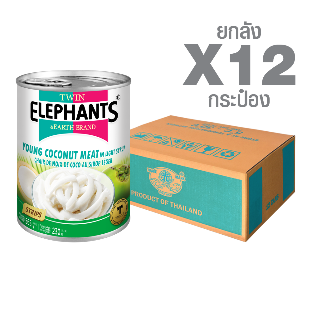 เนื้อมะพร้าวอ่อนในน้ำเชื่อมหวานน้อย (เส้น) ตราช้างคู่ Canned Young Coconut Meat in Light Syrup (Strips) (565 g. x 12 cans) - Image 1